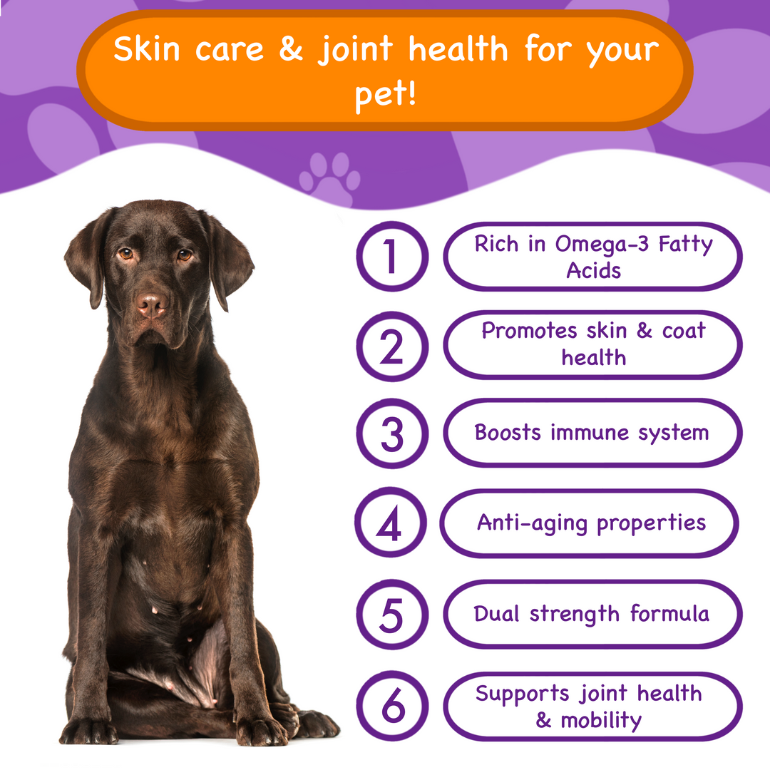 Fish Oil Omega 3 Chews