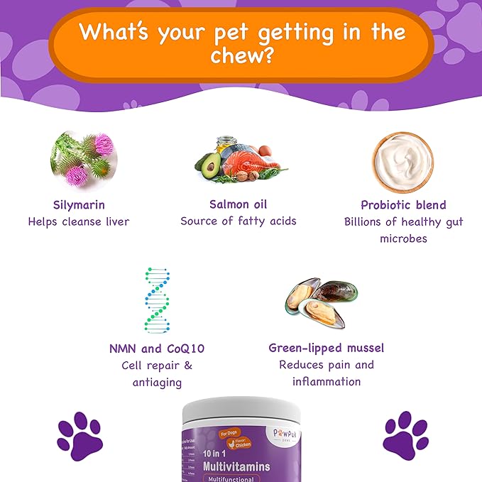 Multifunctional Supplements for Dogs