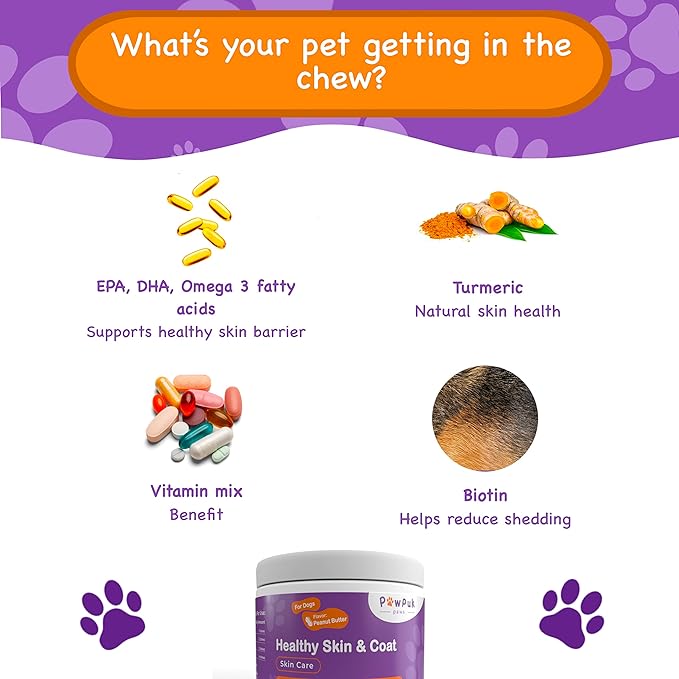 Skin Health Supplement for Dogs