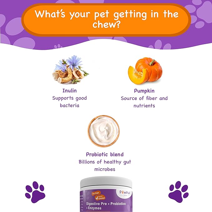 Digestive Health Supplements for Dogs