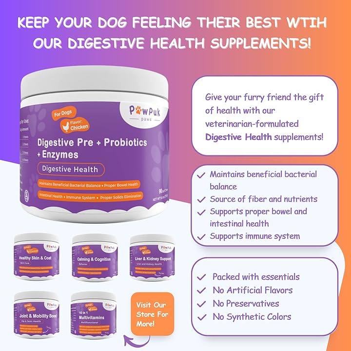 Digestive Health Supplements for Dogs