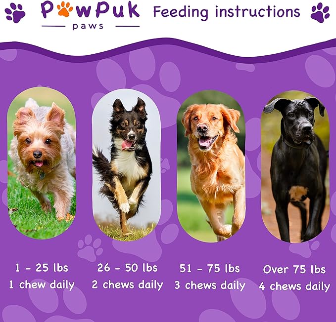 Multifunctional Supplements for Dogs