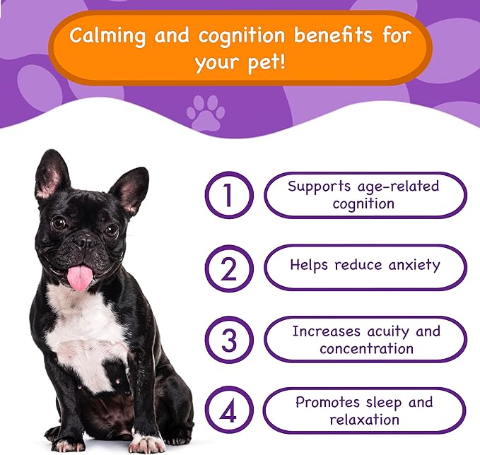 Calming and Cognition Supplement for Dogs