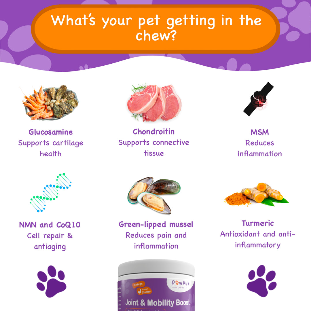 Joint and Mobility Boost for Dogs