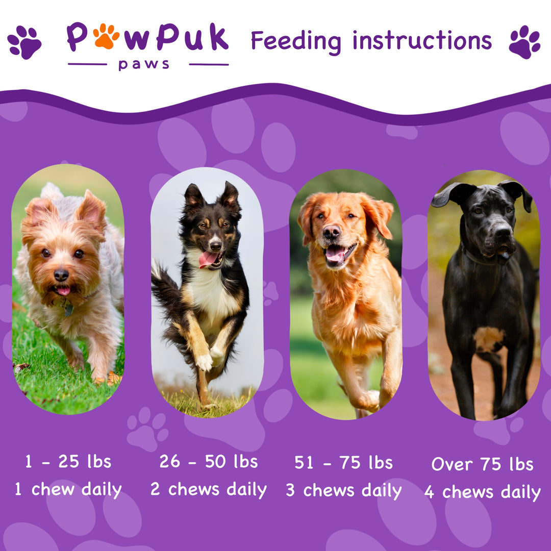 Joint and Mobility Boost for Dogs