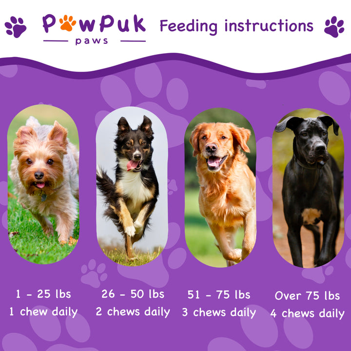 Joint and Mobility Boost for Dogs