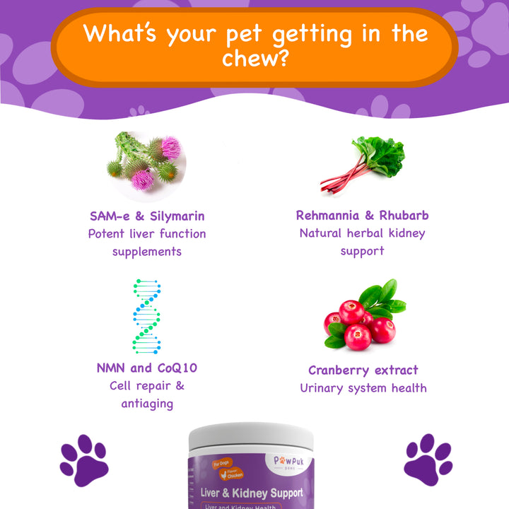 Liver and Kidney Supplement for Dogs